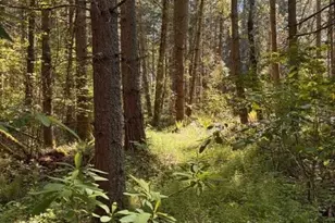 0 Chuckawa Ln SW, Yelm, WA 98597 - Photo 1