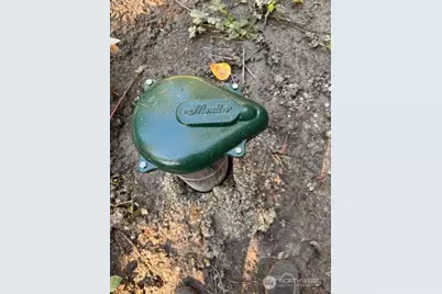 0 Chuckawa Lane SW, Yelm, WA 98597 - Photo 9