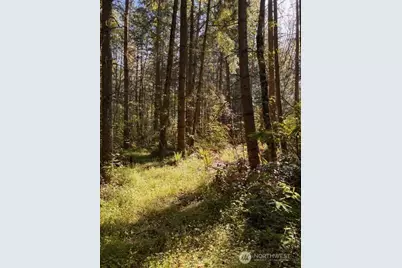 0 Chuckawa Lane SW, Yelm, WA 98597 - Photo 5