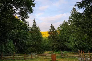 15116 346th Ave NE, Duvall, WA 98019 - Photo 5