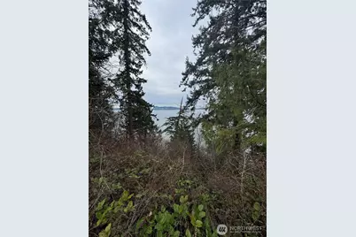 103 Xx Bayview Edison Road, Mount Vernon, WA 98273 - Photo 3