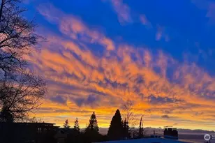 816 Walnut St, Edmonds, WA 98020 - Photo 1