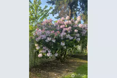 821 Essex Place NE #1C, Olympia, WA 98516 - Photo 15