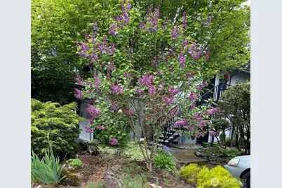 821 Essex Place NE #1C, Olympia, WA 98516 - Photo 31