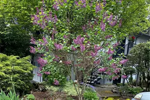 821 Essex Pl NE, Olympia, WA 98516 - Photo 31