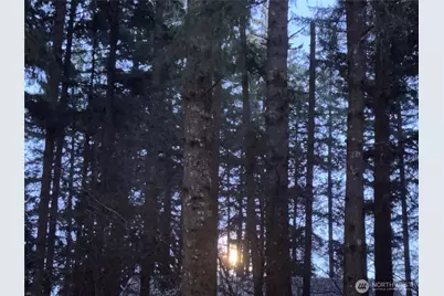 2103 46th Avenue NE, Olympia, WA 98506 - Photo 31