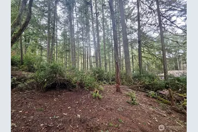 11312 Yoman Road, Anderson Island, WA 98303 - Photo 1