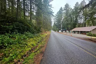 11312 Yoman Rd, Anderson Island, WA 98303 - Photo 3