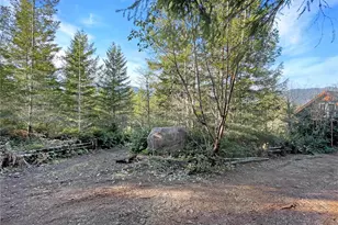 11 N Hamma Rdg Ct, Lilliwaup, WA 98555 - Photo 39