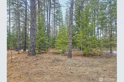 270 Eagle Dr, Chewelah, WA 99109 - Photo 9