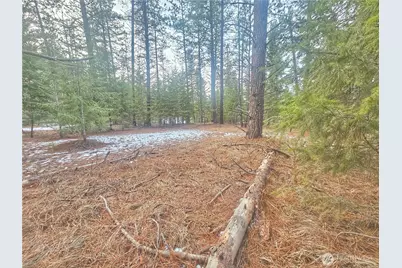 270 Eagle Dr, Chewelah, WA 99109 - Photo 3