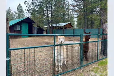 4396 Northport Flat Creek Road, Northport, WA 99157 - Photo 9