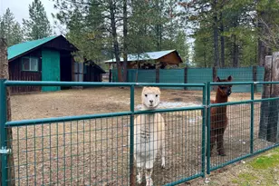 4396 Northport Flat Creek Rd, Northport, WA 99157 - Photo 9