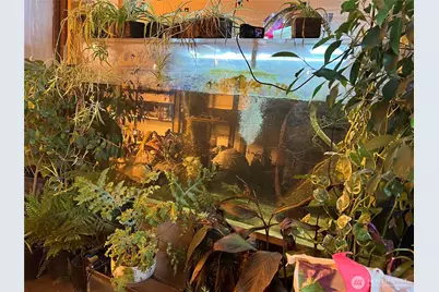 4396 Northport Flat Creek Road, Northport, WA 99157 - Photo 15