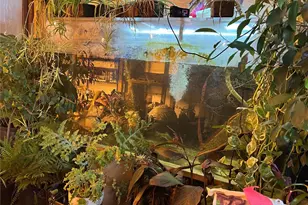 4396 Northport Flat Creek Rd, Northport, WA 99157 - Photo 15