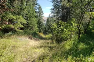 25055 Hwy 395 N, Kettle Falls, WA 99141 - Photo 37