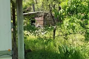 25055 Hwy 395 N, Kettle Falls, WA 99141 - Photo 13