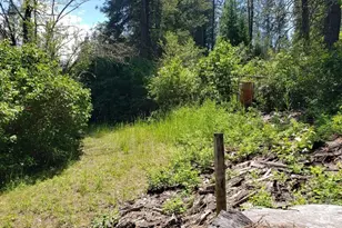 25055 Hwy 395 N, Kettle Falls, WA 99141 - Photo 21