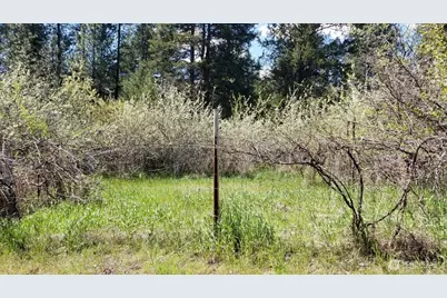 25055 Hwy 395 N, Kettle Falls, WA 99141 - Photo 3