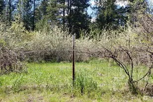 25055 Hwy 395 N, Kettle Falls, WA 99141 - Photo 3