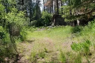 25055 Hwy 395 N, Kettle Falls, WA 99141 - Photo 15