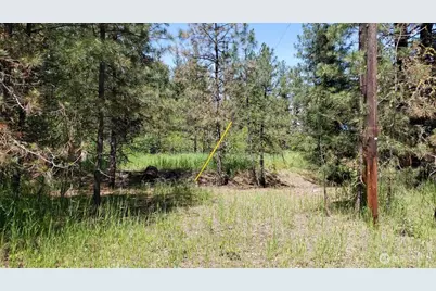 25055 Hwy 395 N, Kettle Falls, WA 99141 - Photo 31