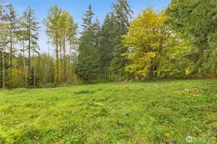 20721 NE 122nd St, Redmond, WA 98053 - Photo 13