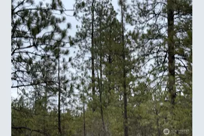 0 Cayuse Cove Road N, Davenport, WA 99122 - Photo 13