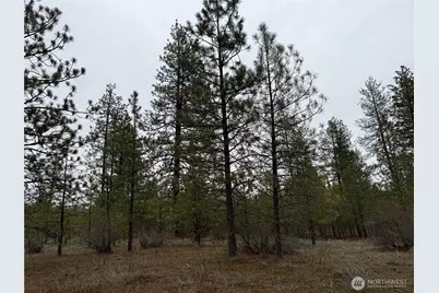 0 Cayuse Cove Road N, Davenport, WA 99122 - Photo 11