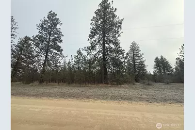 0 Cayuse Cove Road N, Davenport, WA 99122 - Photo 3