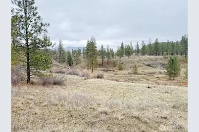 0 Cayuse Cove Road N, Davenport, WA 99122 - Photo 1