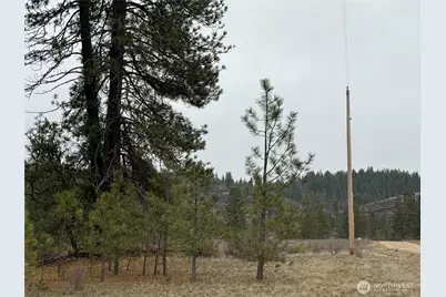 0 Cayuse Cove Road N, Davenport, WA 99122 - Photo 15