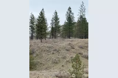 0 Cayuse Cove Road N, Davenport, WA 99122 - Photo 21