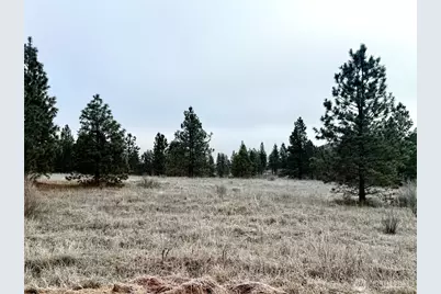 0 Cayuse Cove Road N, Davenport, WA 99122 - Photo 5