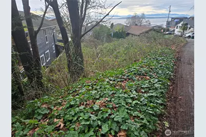 52 Xx SW Canada Drive, Seattle, WA 98136 - Photo 9