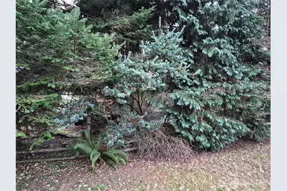 4220 142nd Avenue NE, Lake Stevens, WA 98258 - Photo 11