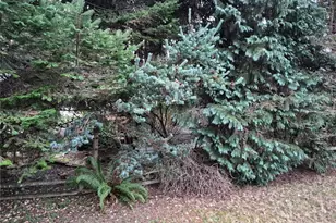 4220 142nd Ave NE, Lake Stevens, WA 98258 - Photo 11