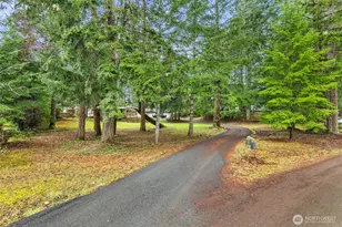 71 E Rhododendron Pl, Shelton, WA 98584 - Photo 37