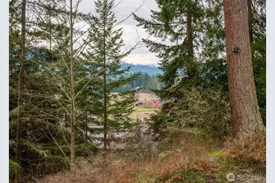 193 Springwater Lane, Sequim, WA 98382 - Photo 7