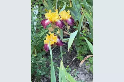 193 Springwater Lane, Sequim, WA 98382 - Photo 35