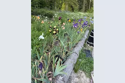193 Springwater Lane, Sequim, WA 98382 - Photo 29