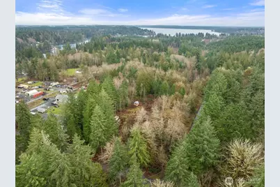 60 SE Mable Taylor Ln, Shelton, WA 98584 - Photo 7