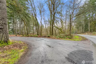 60 SE Mable Taylor Ln, Shelton, WA 98584 - Photo 17