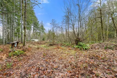 60 SE Mable Taylor Ln, Shelton, WA 98584 - Photo 19