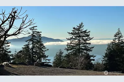 1656 Eagle Ridge Road, Orcas Island, WA 98245 - Photo 37