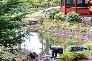 1656 Eagle Ridge Rd, Orcas Island, WA 98245 - Photo 33