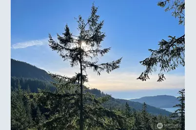 1656 Eagle Ridge Road, Orcas Island, WA 98245 - Photo 39