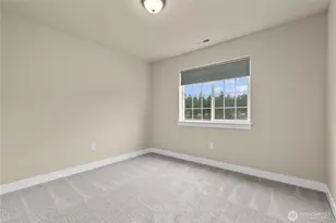 3118 290th St S, Roy, WA 98580 - Photo 19