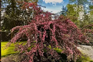 21315 107th Ave SE, Snohomish, WA 98296 - Photo 5