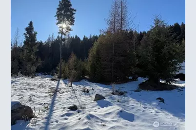 94 Grafton Road, Tonasket, WA 98855 - Photo 13